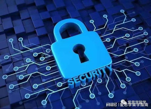 澳洲留學(xué)十大熱門申請專業(yè)之網(wǎng)絡(luò)與信息安全軟件開發(fā)